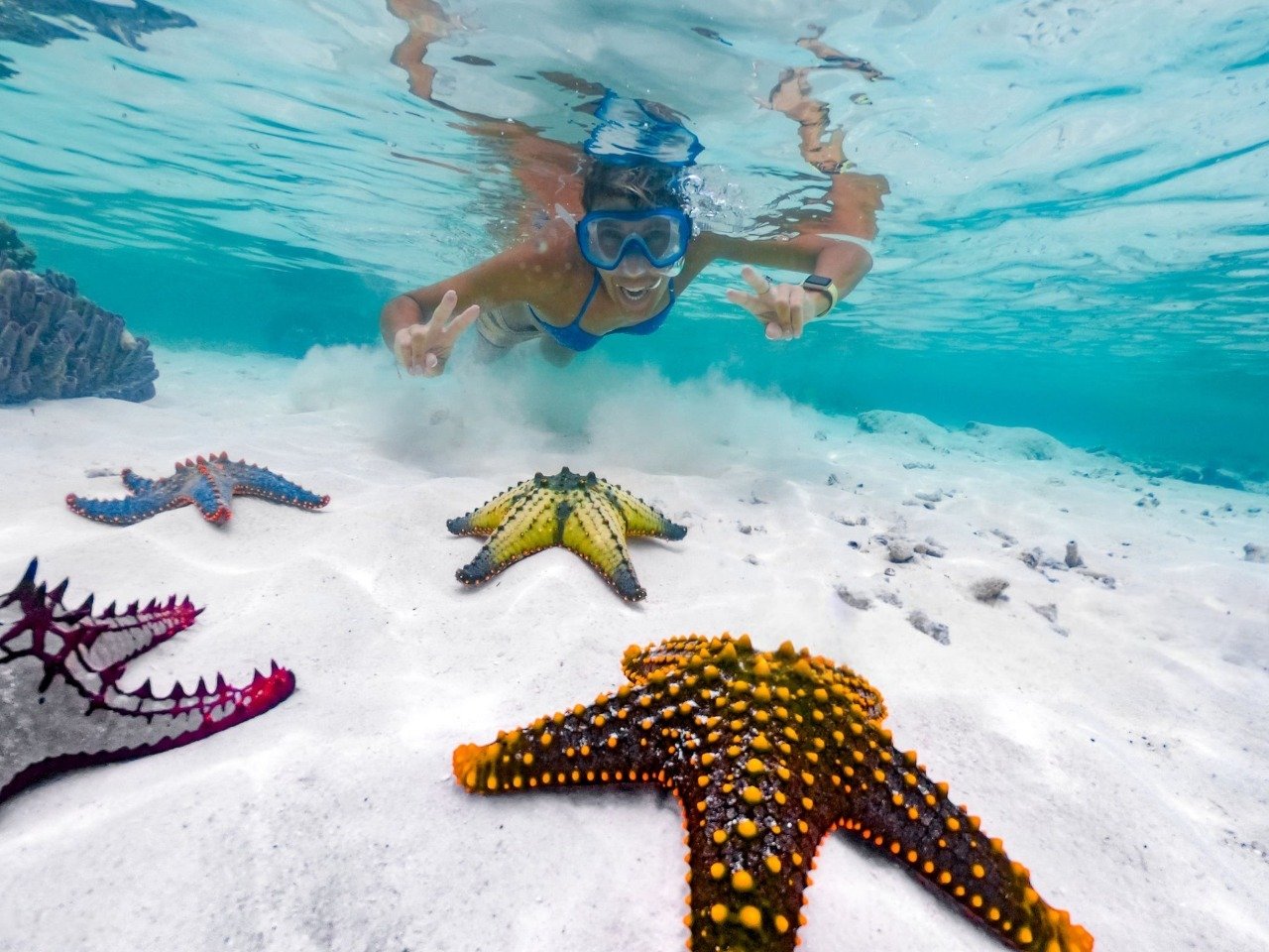 Snorkelling Mnemba Atoll